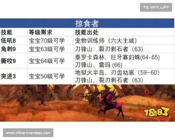 魔兽世界猎人初级宝宝练级攻略